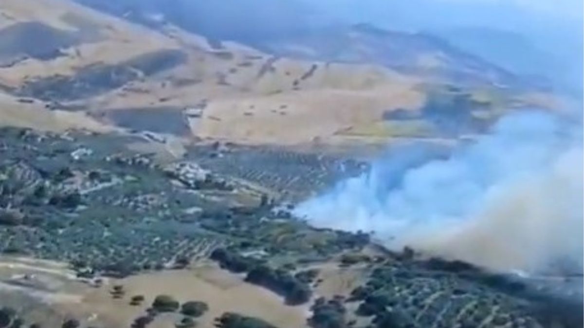 Extinguido el incendio forestal declarado en Antequera