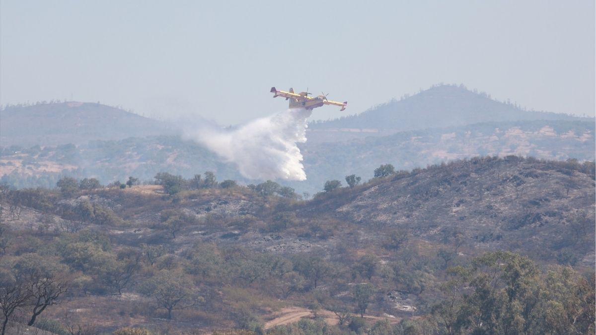 Extinguido el incendio forestal de Huelva tras una semana de trabajos del Infoca