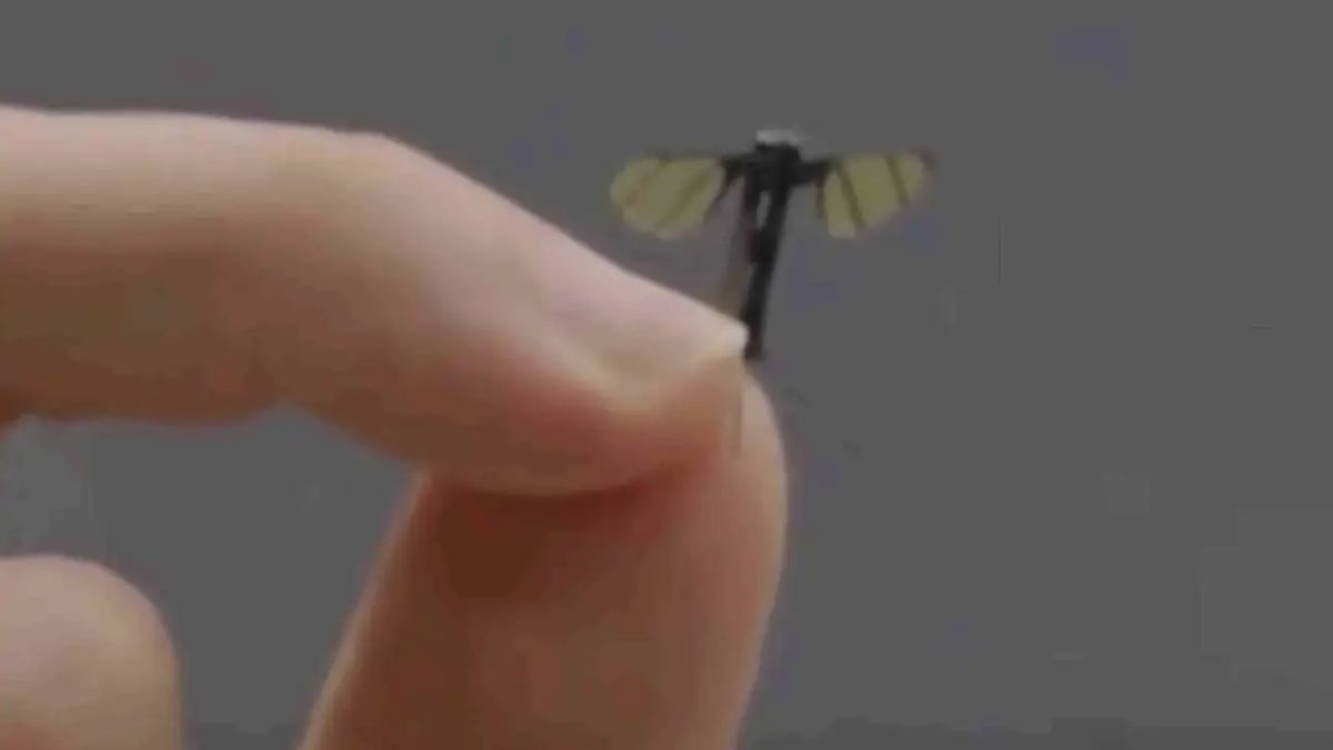 El régimen chino desarrolla un dron mosquito para operaciones encubiertas