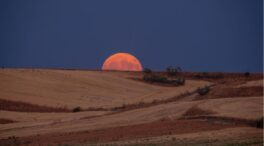 Mundial, campo, deporte y un eclipse: el verano de los españoles ya no cabe en una toalla