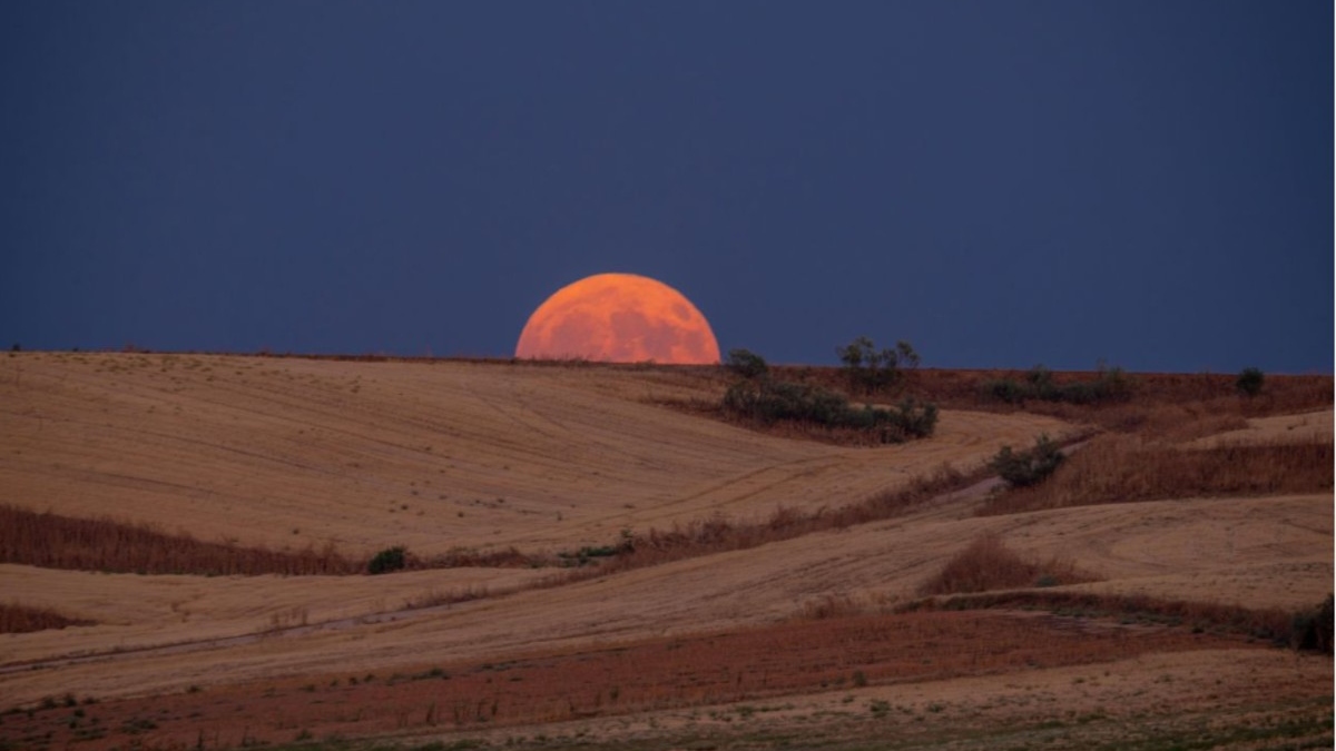 Mundial, campo, deporte y un eclipse: el verano de los españoles ya no cabe en una toalla