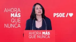 Ferraz reduce el 'caso Leire' a comportamientos individuales de «farsantes y oportunistas»