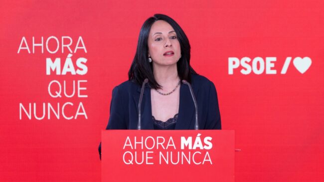 Ferraz reduce el 'caso Leire' a comportamientos individuales de «farsantes y oportunistas»