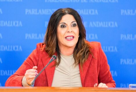 El PSOE rechaza la abstención para facilitar un gobierno de PP y Vox en Andalucía