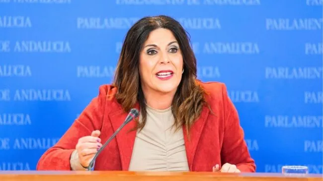El PSOE rechaza la abstención para facilitar un gobierno de PP y Vox en Andalucía