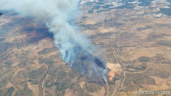 El incendio de Huelva obliga a desplegar 15 medios aéreos y 110 efectivos en tierra