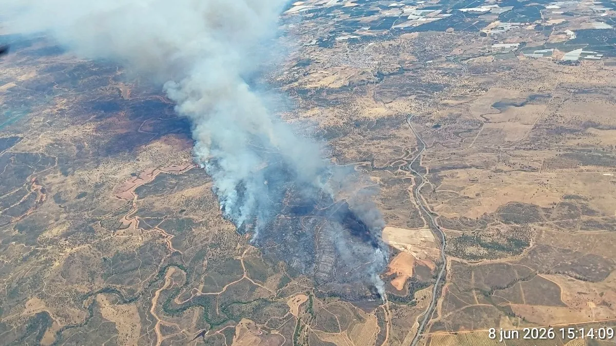 El incendio de Huelva obliga a desplegar 15 medios aéreos y 110 efectivos en tierra