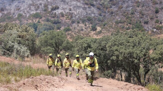 La Junta espera dar por controlado el incendio de Castillejos (Huelva)«en las próximas horas»
