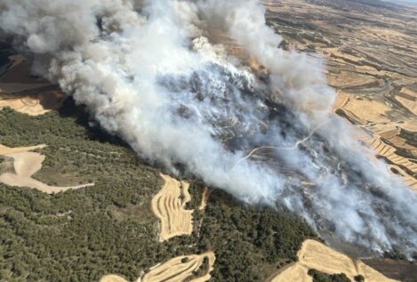 Un incendio forestal arrasa mil hectáreas en Leciñena (Zaragoza): Aragón activa a la UME