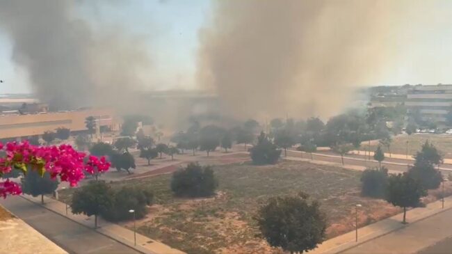 El incendio en Mairena del Aljarafe provoca la evacuación de vecinos de zonas cercanas