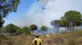 Evacúan a 115 menores por un incendio próximo a un camping en Lepe (Huelva)