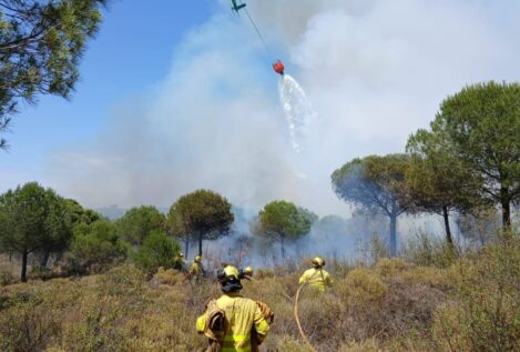 Evacúan a 115 menores por un incendio próximo a un camping en Lepe (Huelva) 