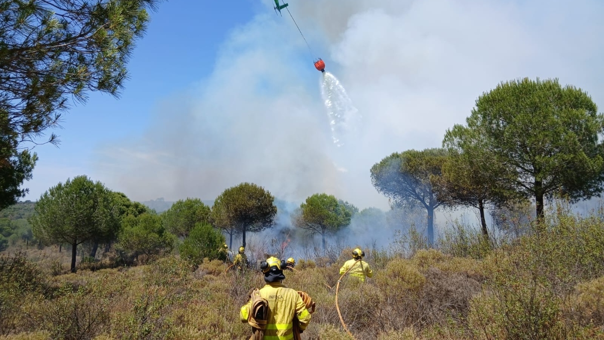 Evacúan a 115 menores por un incendio próximo a un camping en Lepe (Huelva)