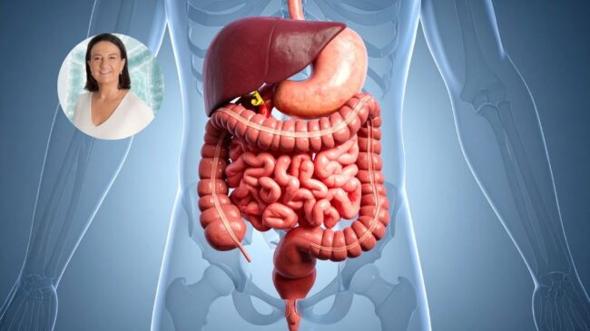 María Dolores de la Puerta, médico: «Las patas de las que se alimenta una buena microbiota son tres: la fibra, los alimentos fermentados y los polifenoles»