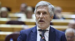 Marlaska insiste en que la directora de la Guardia Civil no habló de la trama con Leire Díez