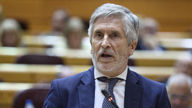 Marlaska insiste en que la directora de la Guardia Civil no habló de la trama con Leire Díez