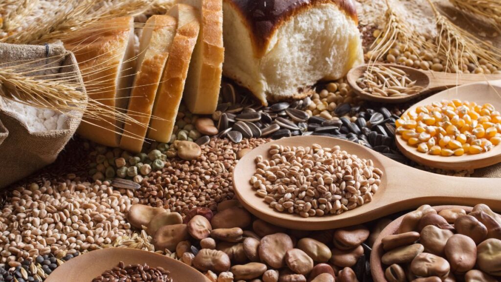 Cereales del pan 