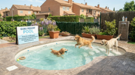 Piscinas para perros: la forma segura, divertida y saludable de combatir el calor