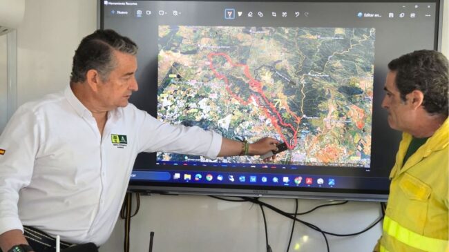Se elevan a 23 los medios aéreos activados por el incendio de Villanueva (Huelva)