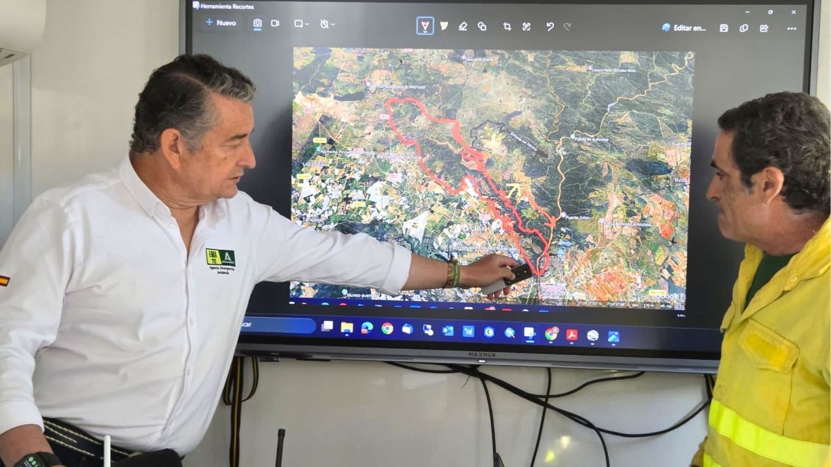Se elevan a 23 los medios aéreos activados por el incendio de Villanueva (Huelva)
