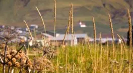 El TSJ de Madrid anula uno de los mayores desarrollos logísticos de la región por sacrificar suelos agrícolas de máximo valor productivo