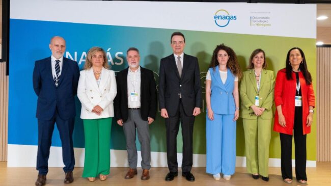 Enagás estrenará este año Hyloop+, pionero en Europa en calibrar contadores de hidrógeno