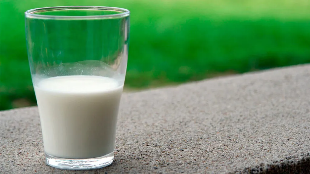 vaso-leche