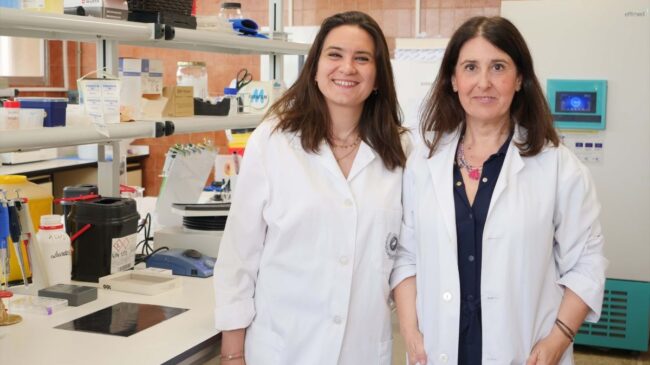 Científicos de la Universidad de Málaga logran mejorar la eficacia analgésica de la morfina