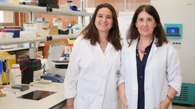 Científicos de la Universidad de Málaga logran mejorar la eficacia analgésica de la morfina
