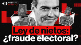 VÍDEO | Ley de nietos: ¿fraude electoral?