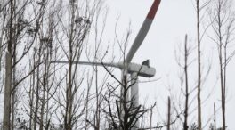 España, entre los países con mayor peso de las renovables en la generación eléctrica