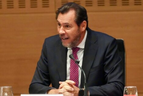 Puente descarta incidencia electoral de la 'ley de nietos': el PP presentó una norma «idéntica»